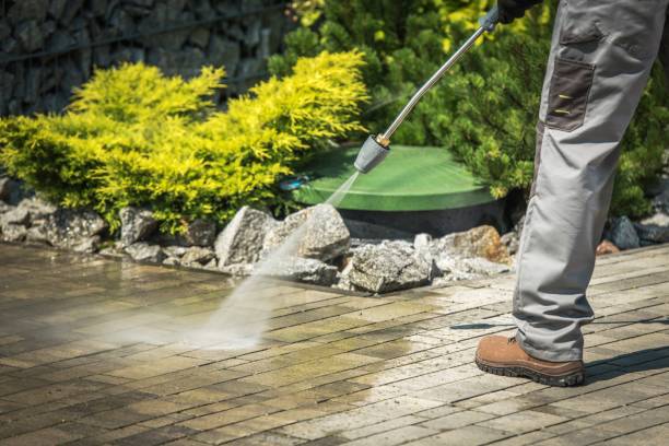 Reliable Harbor Isle, NY Pressure Washing Services Solutions